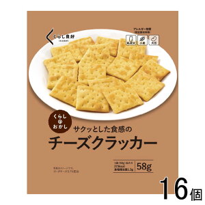 y16z 炵ǍD `[YNbJ[ 58g×16 ykCEEzsz[NA]