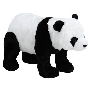 yCeAzysfՁz ʂ݃p_B3851-39 47304 k[J[ilykCEEzsz