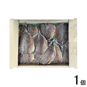 yяXz ݂񊱂 10×1  ˎsꏤi  yvⓀzyN[ցzykCEEzsz