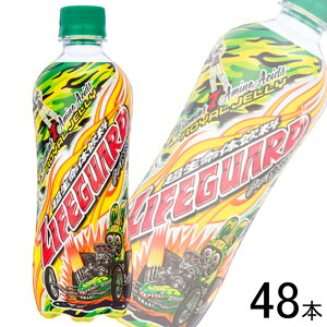 y2P[Xz `FI CtK[h PET 500ml×24{×2P[XFv48{ ykCEEzsz