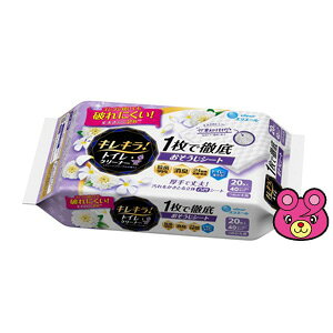 ypiz 剤 LLIgCN[i[ 1œOꂨV[g N[t[ ߂ 20i10×2pbNj×12 ykCEEzszmHKn