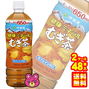 y2P[Xz ɓ N~lނ PET 650ml×24{×2P[XFv48{  ykCEEzsz