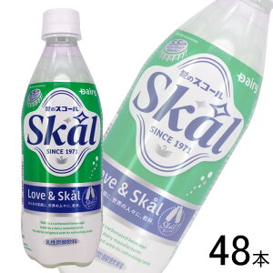 �y2�P�[�X�z �f�[���B ����{���_���� �X�R�[���z���C�g PET 500ml×24�{×2�P�[�X�F���v48�{ �y�k�C���E����E�����z���s�z