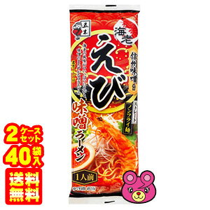 y2P[Xz ܖؐHi іX[ 120g×20ܓ×2P[XFv40 CV ݂ ykCEEzsz