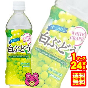 y1P[Xz TKA ƔԂǂ PET 500ml×24{ ykCEEzsz