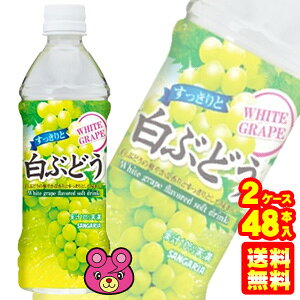 y2P[Xz TKA ƔԂǂ PET 500ml×24{×2P[XFv48{ ykCEEzsz