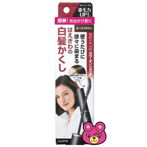 �y�G�݁zSALON de PRO[�T�����h�v��] �J���[�I�����^�b�` ����������EX �_�[�N�u���E�� �y�G�݂́A���ǂ�3,980�~�k�ō��l�ȏ�ő��������z�y�k�C���E����E�����z���s�z�mHK�n
