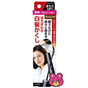 �y�G�݁zSALON de PRO[�T�����h�v��] �J���[�I�����^�b�` ����������EX �i�`�������u���E�� �y�G�݂́A���ǂ�3,980�~�k�ō��l�ȏ�ő��������z�y�k�C���E����E�����z���s�z�mHK�n
