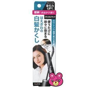 yG݁zSALON de PRO[Thv] J[I^b` EX i`ubN yǴ݂Aǂ3,980~kōlȏőzykCEEzszmHKn