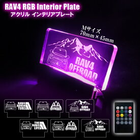 RAV4 50系 LEDアクリルプレート 6cm セキュリティプレート スキャナー RGB LED アクリルプレート ダミーセキュリティ 警告 RAV4 アクセサリー ドレスアップ カスタム イラスト 車 ロゴ マウンテンデザイン ネコポス 印刷