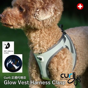 XCXfUCyCurlizyJ[[z Sʔ˃tN^[̃xXgn[lXENXvGLOWyCLASP/Glowz