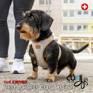 XCXfUCyCurlizyJ[[z H~tFgxXgn[lXENXvEApCyCLASP/ALPINEz