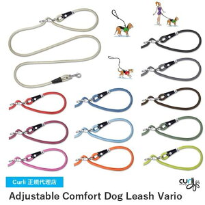 XCX̍hbOuhyCurliz J[[ AWX^uRtH[ghbO[hyVARIOEoIz