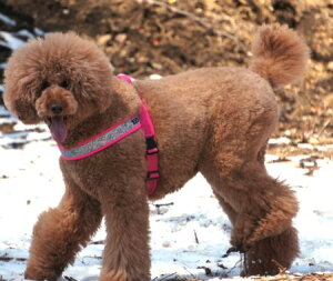 _119:59}f|Cg10{^n[lX  pn[lX Hakusan nNT RtH[gWXgtBbgn[lX ^ ^ ^ Ȃ EȂ SȂ NbV U 