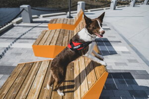 _179:59}f|Cg10{^yJULIUS-K9Ki戵XzyzyJulius-K9zybV^CvzEXP[iCEIDCp[T}[n[lX ^TCY