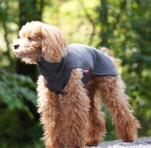 tBh̃hbOuhyPomppazy|bpzEhbOt[XZ[^[yJumppa PomppazE^p