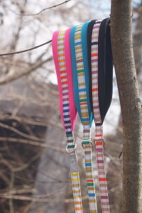 _279:59}f|Cg10{^[Hakusan]kfUC{[_[[hyXgCvNbV[hz