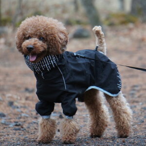 yHurttazytb^zEhbOCR[g uRain Blocker CubJ[v`^p