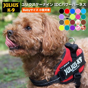 yJULIUS-K9Ki戵Xz|Cg10{I1099:59}f yz@\Qn[lXyJulius-K9zEXP[iCEIDCp[n[lX BabyTCY@^pTCY