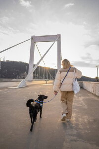 EX k9 [h Julius-K9 X[p[Obv[hEAWX^u double adjustable leash  [h ^ ^ ^ K p V_[ | NbV  v y iXJ