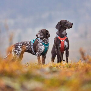 _119:59}f|Cg10{^tBh̃hbOuhyHurttazytb^zE[o[n[lX