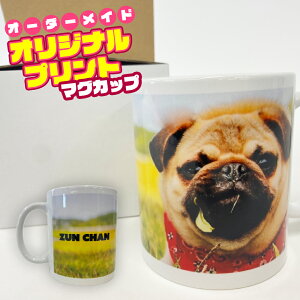 IWivg }OJbv DȎʐ^}OJbvɃvgIIWifUC̐EɂЂƂ̃}OJbvɁBtJ[ vg  v[g   