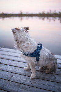 yJWAV[YztBh̃hbOuhyHurttazytb^zET^NbVn[lX