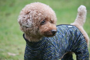 _119:59}f|Cg10{^[Ratia/Finland]₷Ē₷I[o[I[yThe Pole Overall Ratiaz^pTCY