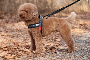 _279:59}f|Cg10{^yRatiazyfUCX^WI eBAzkfUCEWXgtBbgn[lXEeBA@y{z