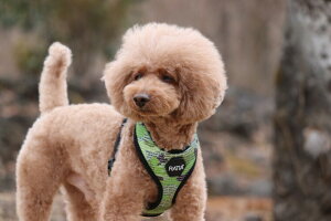 _279:59}f|Cg10{^yRatiazyfUCX^WI eBAzkfUCEx[VbNCgn[lX