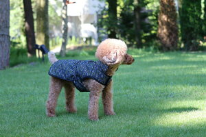 [Hakusan]܂ɒ邨zcWPbgy[WPbgEeBAzE^pTCY