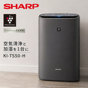 SHARP �V���[�v ������C����@ KI-TS50-H �v���Y�}�N���X�^�[25000 ��C���� ���� 23�� ������600mL/h ���^ �X���� �O���[ �~�X�^�[�}�b�N�X MrMax