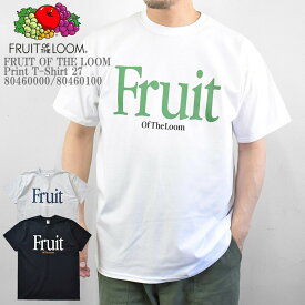 FRUIT OF THE LOOM フルーツ オブ ザ ルーム FTL Print T-Shirt 27 80460000 /80460100 プリントTシャツ シンプル メンズ レディース ユニセックス