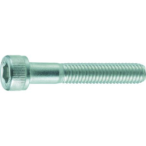 TRUSCO�@�Z�p���t�{���g�@�X�e�����X�@���l�W�@M12×60�@3�{���@�^�L���b�v�{���g�iCAP�j B44-1260
