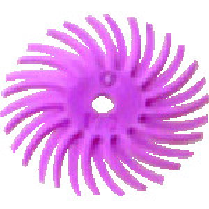 �y48�Z�b�g�z 3M�@���W�A���E�u���b�X���f�B�X�N�@�p�[�~�X�@�s���N�@14�D3mm BR DISC PUM 9/16