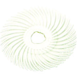 �y40���Z�b�g�z 3M�@���W�A���E�u���b�X���f�B�X�N�@��120�����@���@50�D8mm BR DISC 120 2X3/8
