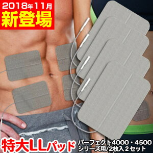 干渉波 フィットネス ems ダイエットの人気商品・通販・価格比較 
