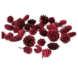 ��n�_�� �h���C�t�����[ ���b�h�R�[���A�\�[�g(50g����) DO024870-300