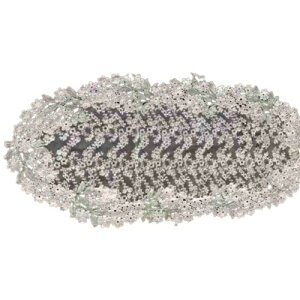 Vivienne(���B���B�A��) �N���X�^���}�[�K���b�g�V���[�Y ���[�X �h�J �e�[�u�������i�[ �e�[�u���N���X WK1002L4