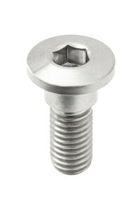 �W�[�^���[�V���O(ZETA RACING) �`�^�� �u���[�L�f�B�X�N�{���g �V���w�b�h [�t�@�C]10 M8×22mm ZT10-3761 �_�[�g�t���[�N DIRTFREAK