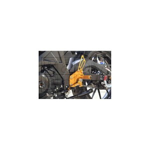 �x�r�[�t�F�C�X(Baby Face) �o�b�N�X�e�b�v �S�[���h GSX-R/S125 002-S024GD