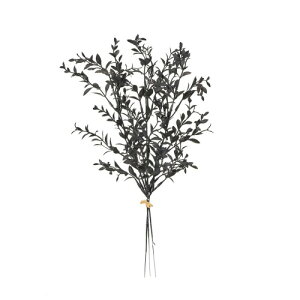 ������(Tokyodo) ���X�J�X�s�b�N #020�u���b�N L40×W20cm 1�� (3�{) FG002204-020