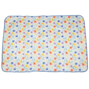 �Ђ���u�����P�b�gM �t���b�t�B�[ �A�C�{���[ IV �ڐG�⊴ toridori�V���[�Y �t�����Y�q��