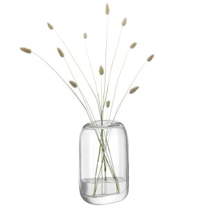 LSA(�G���G�X�G�[) �t�����[�x�[�X(�Ԋ�) �N���A����24cmMelt(�����g)G1742-24-301