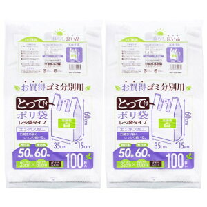 �X���[�L���[�u ���W�� �Ƃ��ĕt �S�~���ʗp�|���� 100���� 2�p�b�N �� ��35×60×�}�`15cm TR50-2