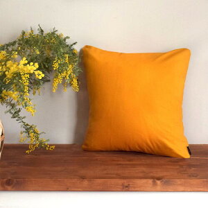 �X�^�C���f�R�[��(STYLE Decor) �N�b�V�����J�o�[ 45×45cm �k�� ������� ���킢�� 2���Z�b�g ��100% ���n �I�����W W3503200