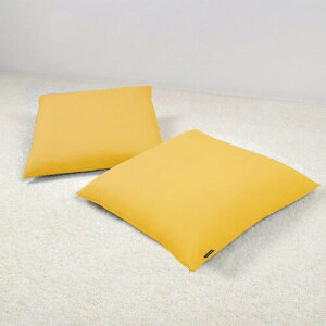 �X�^�C���f�R�[��(STYLE Decor) ���z�c�J�o�[ 55×59 2���Z�b�g ���唻 ������� ��100% �k�� ���n �C�G���[ W3403100