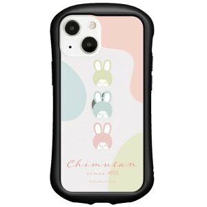 �O�����T���N i select clear iPhone 13 mini 12 mini �Ή��N���A �P�[�X (�ϏՌ� TPU�o���p�[)