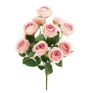 ������ ���� MAGIQ ���V�A���[�Y�u�b�V�� �s���N �Ԍa7×L37×W25cm FM001617-002