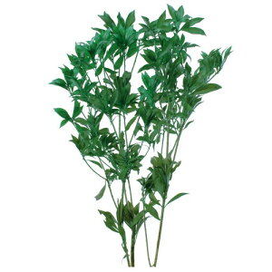 ��n�_�� �v���U�[�u�h�t�����[ �A�Z�r (45g����) �O���[�� DO003790-700